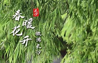 活動(dòng)暖場(chǎng)|微游長(zhǎng)沙